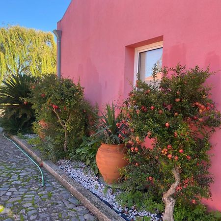 Casa Das Jardas Іданья-а-Нова Екстер'єр фото