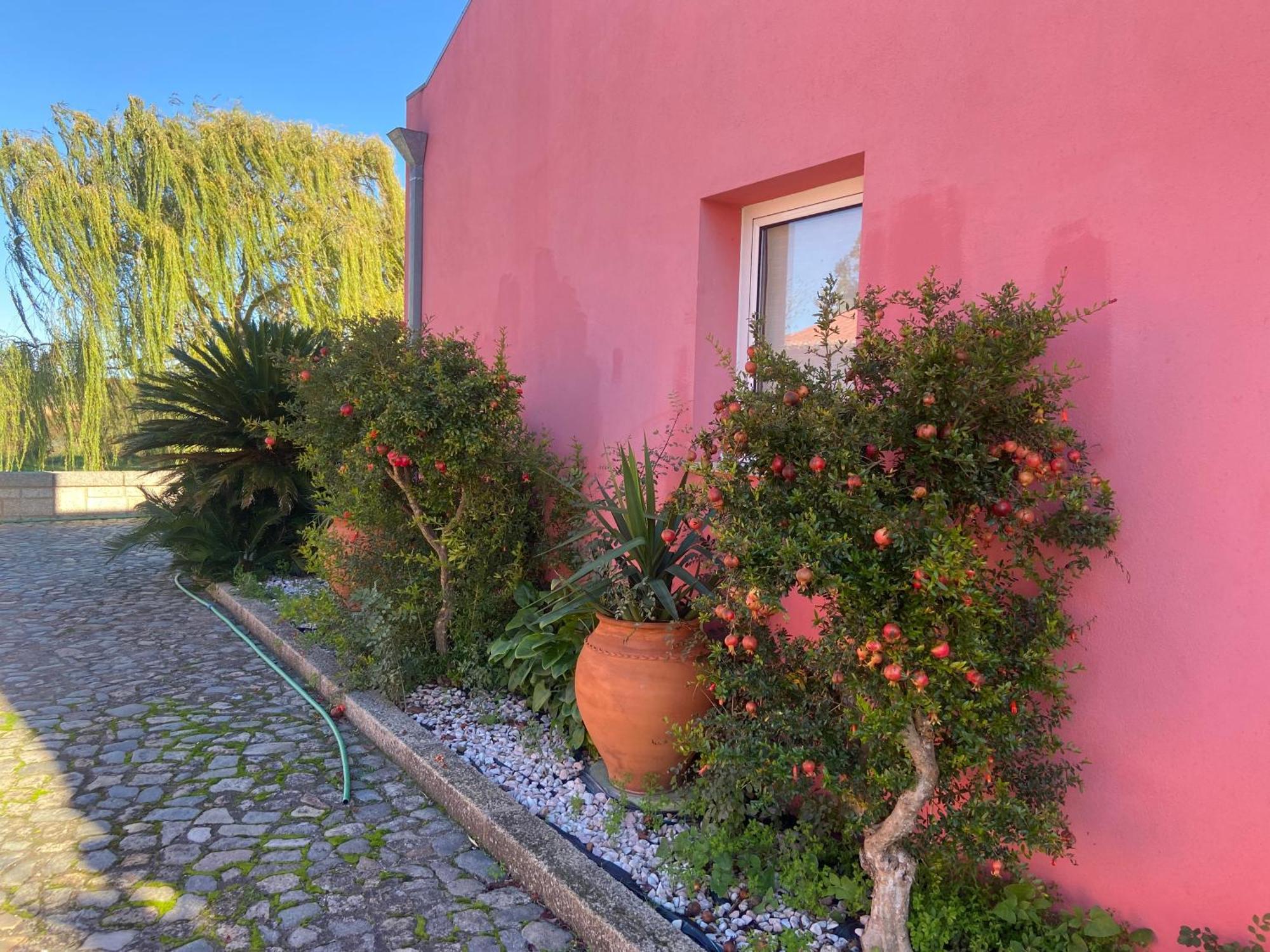 Casa Das Jardas Іданья-а-Нова Екстер'єр фото
